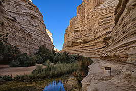 Bernhard Saalfeld - En Avdat (6v9)